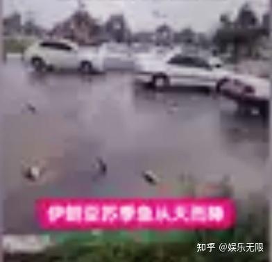 全球热议！赔率变化场外八卦引关注