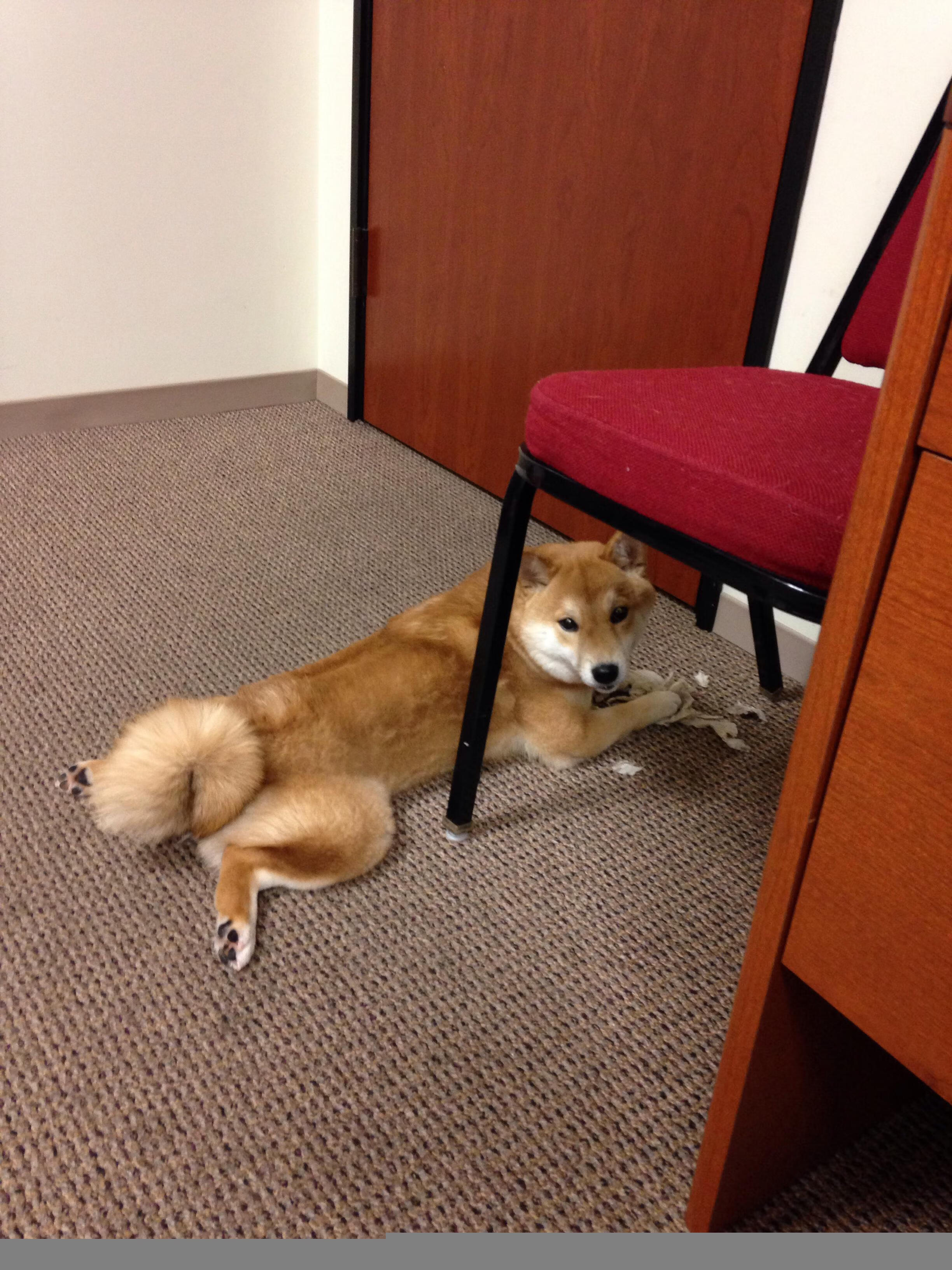 跨界之战，灰熊轻取广东，伦纳德一锤定音演绎友谊赛关键先生