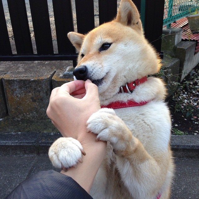 鏖战中的惊艳回归，桃田贤斗，从低谷重返巅峰之战