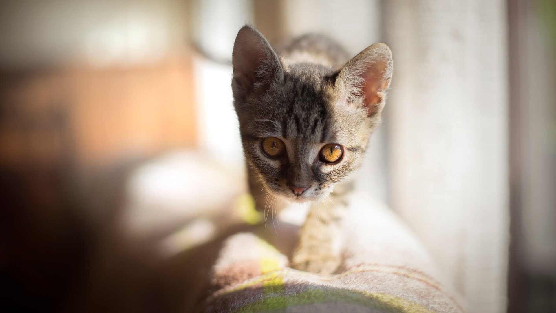 汉江奇迹夜，韩国表演赛4-3切尔西，哈兰德客串绝杀