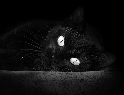 跨越竞技场的统治力，上海惊天逆转与西亚卡姆的意甲接管