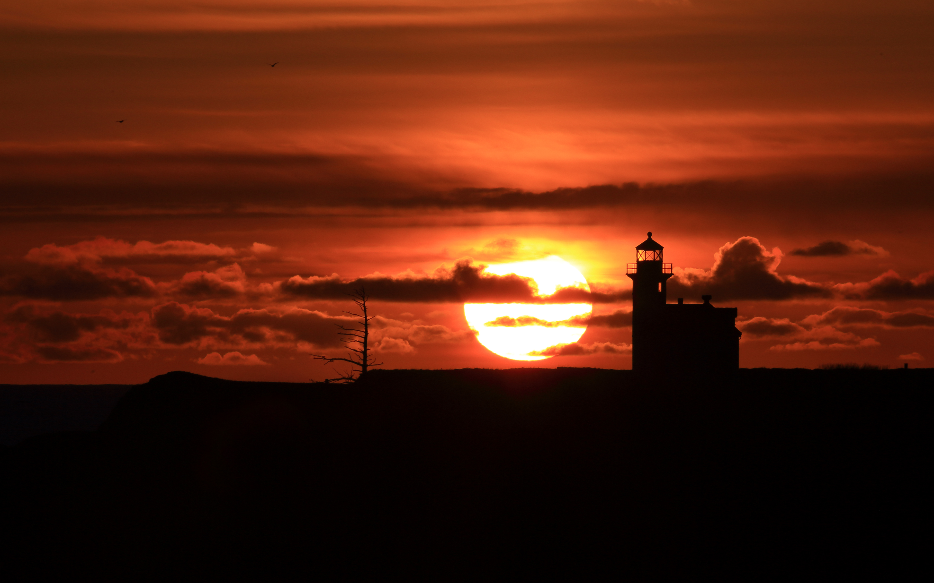 F1年度争冠之夜，当贝林厄姆驾驶命运的赛车冲向终点