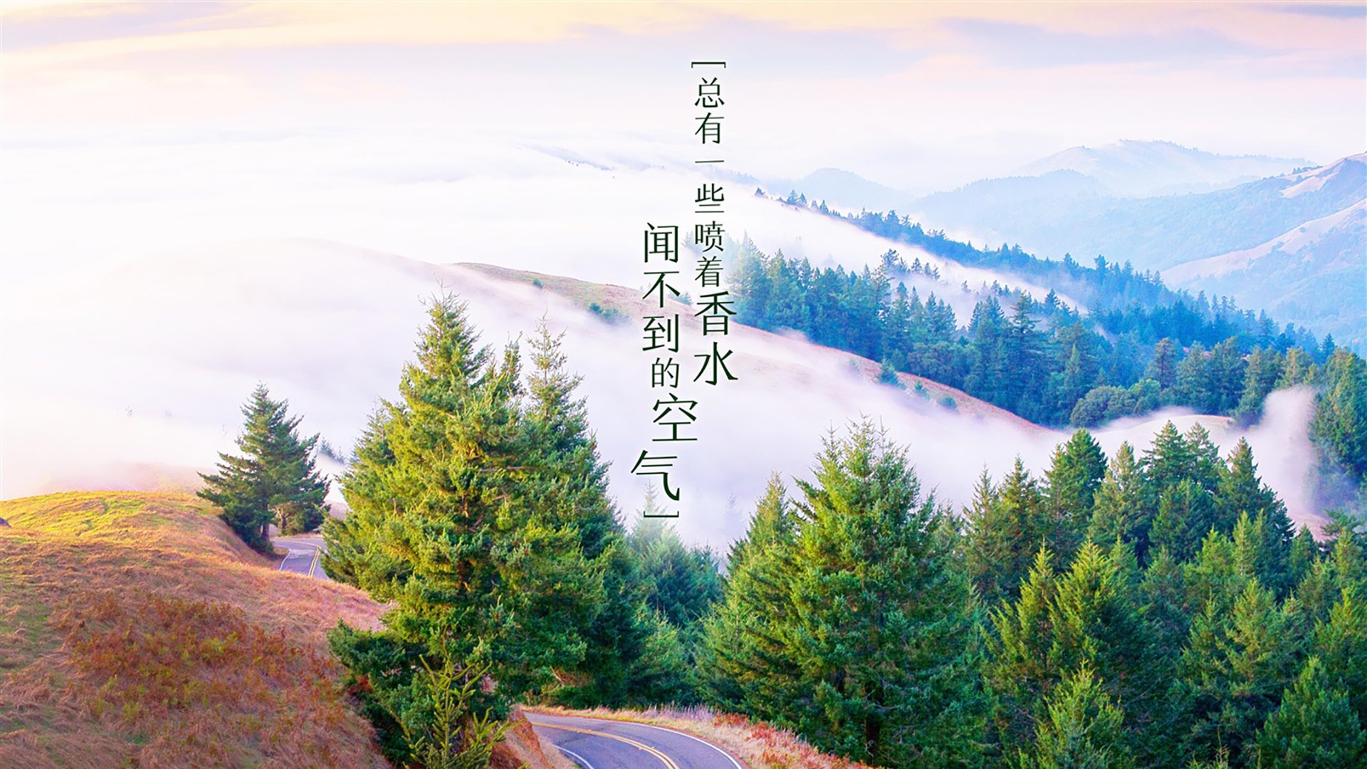 寒光乍现！魔术集体爆发掀翻热火，沉寂克莱竟成逆转关键先生