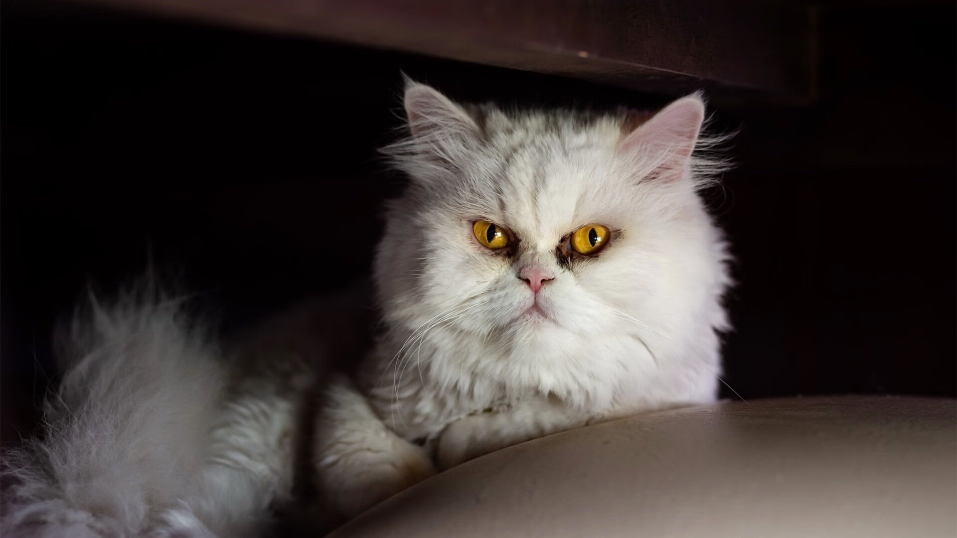 淬火时刻，乔治的燃烧与雄鹿的钢骨之锻