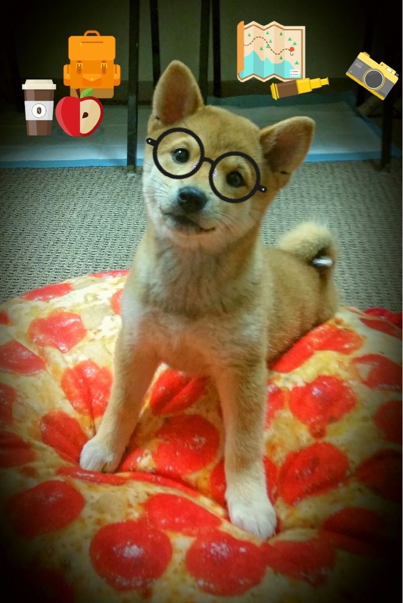 赛道上的欧国联决赛，当F1引擎声替代了足球的射门轰鸣