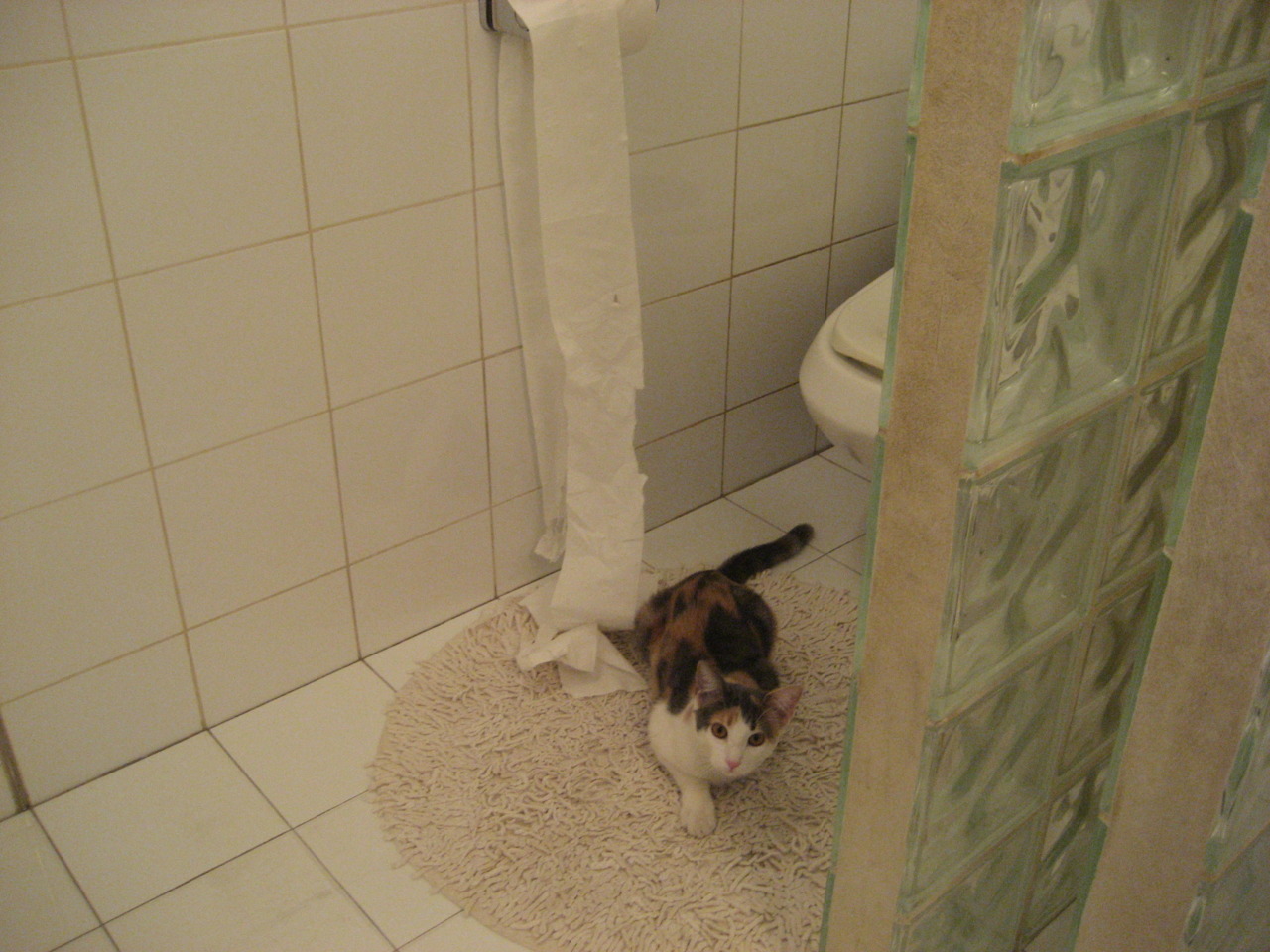 唯一铁律,秘鲁速胜比利时,蒂亚戈用87分钟改写足球哲学