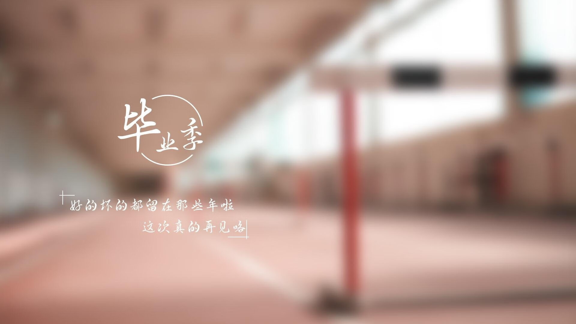 沙漠之夜的孤星,2026世界杯关键战,C罗以一己之力改写命运,美国大胜卡塔尔背后的王者独白