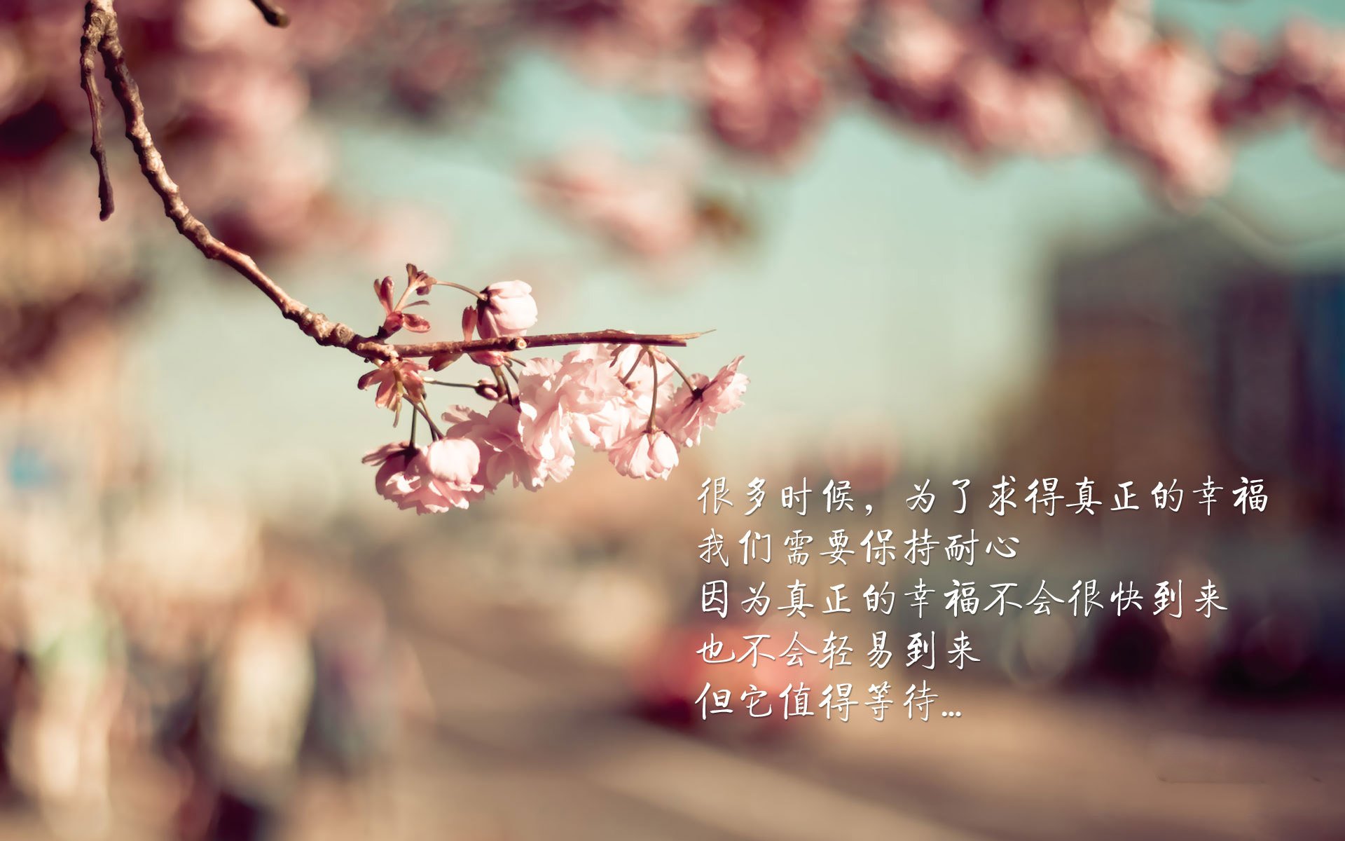 橙衣风暴下的欧洲内战,莱万王者归来,荷兰战术制胜终结葡萄牙黄金一代