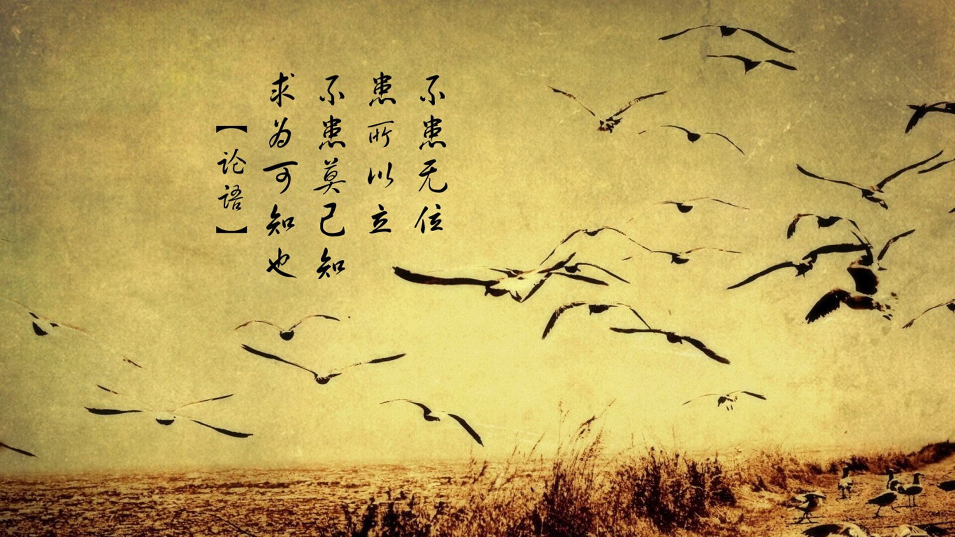 冰与火之歌，当印度洋暖流撞上北欧冰墙，久保建英在G组写下唯一解